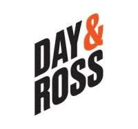 Day 7 rose